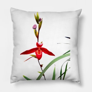 Orchid 1 Pillow