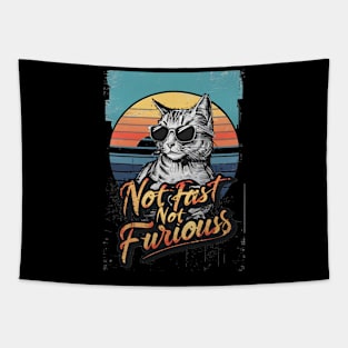 Not Almost Not Furious Lazy Relaxed Cat Tapestry