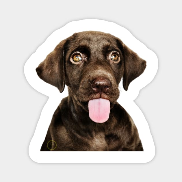 Naughty dog Magnet by Showcase arts