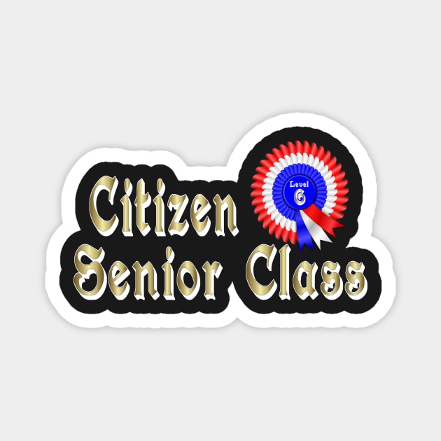 Citizen Senior Class Level 6 Award Baby Boomer Time Magnet by hispanicworld