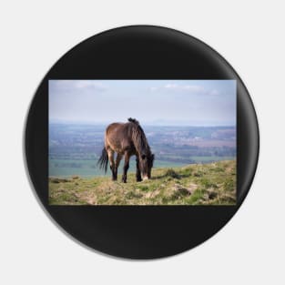 Traprain Grazing Pin