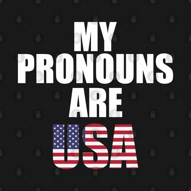 my pronouns are usa 4th of july by Vortex.Merch