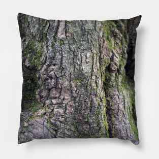 Mossy Bark Pillow