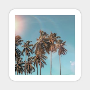 Summer Palm Trees Magnet