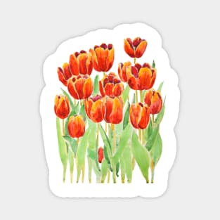 orange tulips  flowers watercolor Magnet