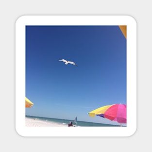 Beach Flight Magnet