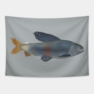 Upper Yenisei Grayling Tapestry