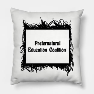 PEC Logo Pillow