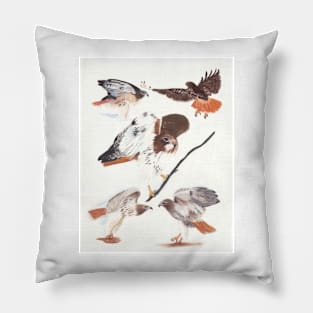 Redtailed Hawk Selfie Pillow