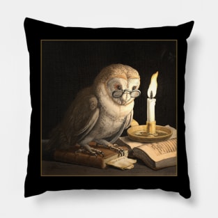 Owl with spectacles, candle and books. Pillow