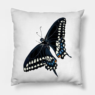 Black Swallowtail Butterfly Pillow