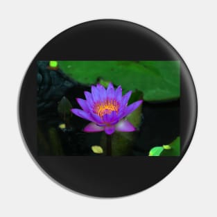 water lilly Pin