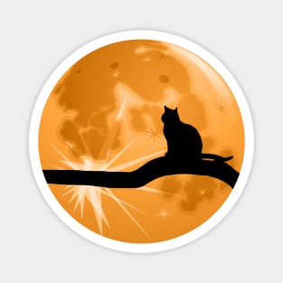 The Cat And The Moon Magnet