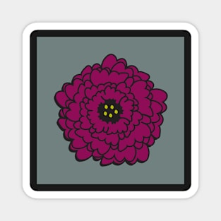 Purple Zinnia Magnet