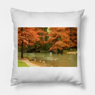 Autumn on the river Pillow