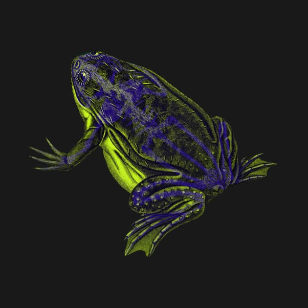 Skeleton Frog Interactive Yellow&Blue Filter By Red&Blue by RedAndBlue