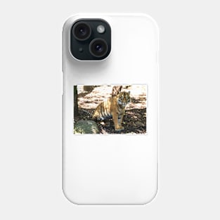 Tiger Eyes Phone Case