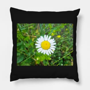 Summer flower Pillow