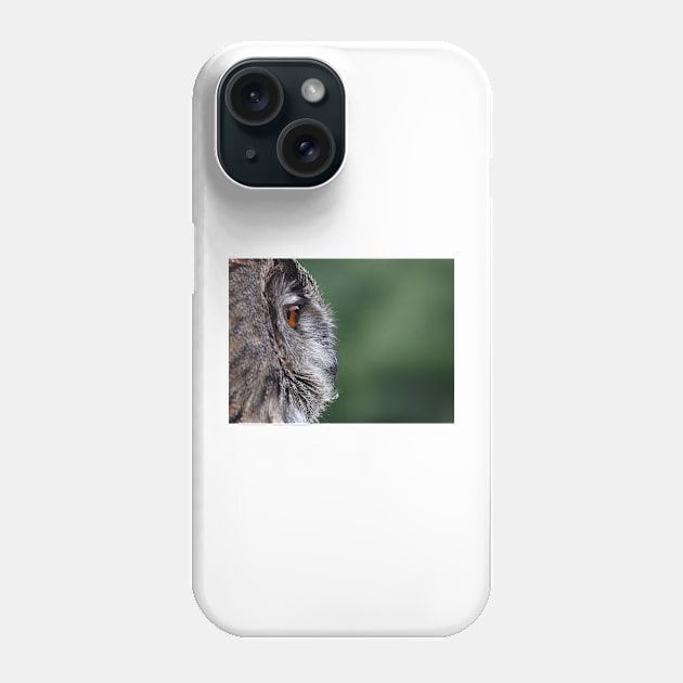 Eagle owl profile Phone Case by Jim Cumming