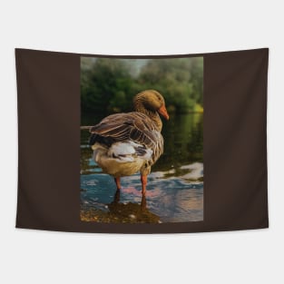 Duck in Water Tapestry