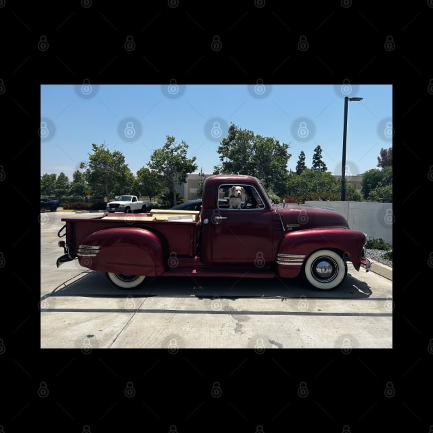 1949 Chevy 3100 by Nenas60