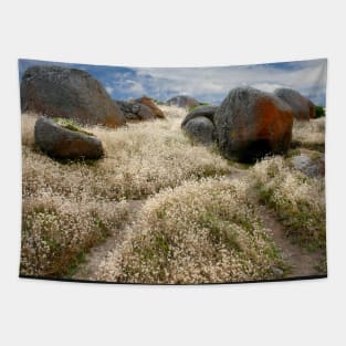 Grass tails among the granite Tapestry