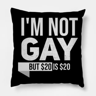 Im not gay but $20 is $20 // Funny tee // Saying Pillow