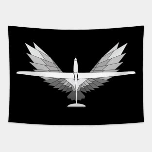 Glider Solaring Among the Eagle Design Tapestry