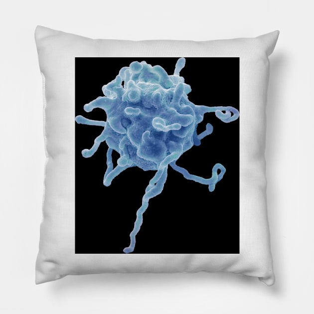 Activated platelet, SEM (C023/0879) Pillow by SciencePhoto