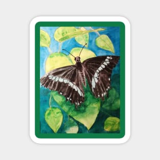 Turquoise and black butterfly watercolour painting Magnet