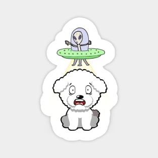 Cute furry dog is abducted by aliens Magnet