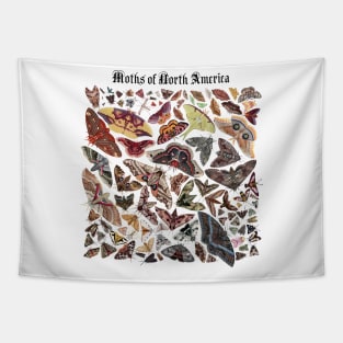 Moths of North America Tapestry