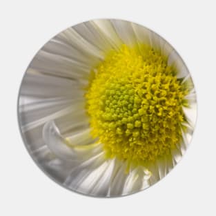Yellow & White Floral, Macro Pin