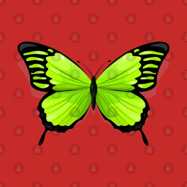 Green Butterfly by Mako Design 