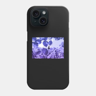 Pigeon on a branch in sunny day Phone Case