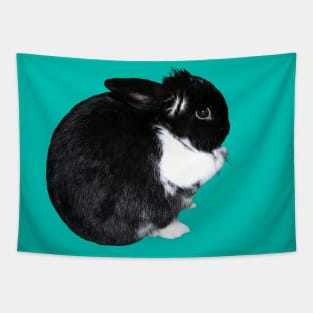 Black and White Cute Bunny Tapestry