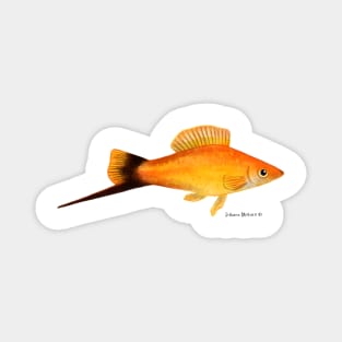 Swordtail Fish Magnet