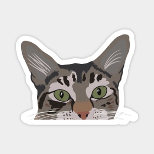 Tabby Cat Eyes Magnet