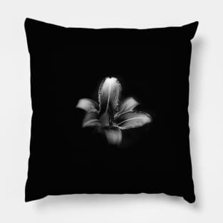 Flower with Black Background Pillow