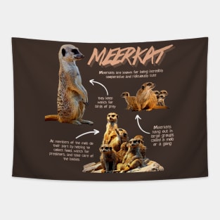 Meerkat Fun Facts Tapestry