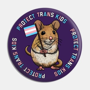Protect Trans Kids Mouse Pin