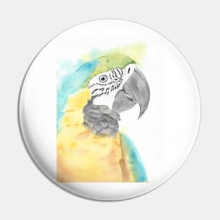 blue and gold macaw watercolor portrait bird parrot Pin