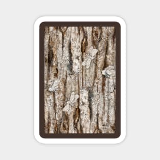 Tree Bark Camo Magnet