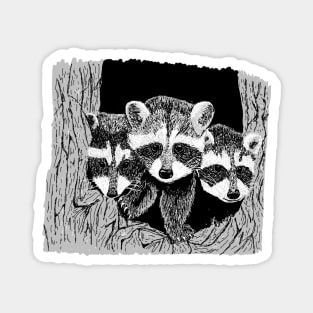 Cute Red pandas Magnet