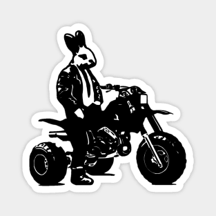 Atc250r rabbit Magnet