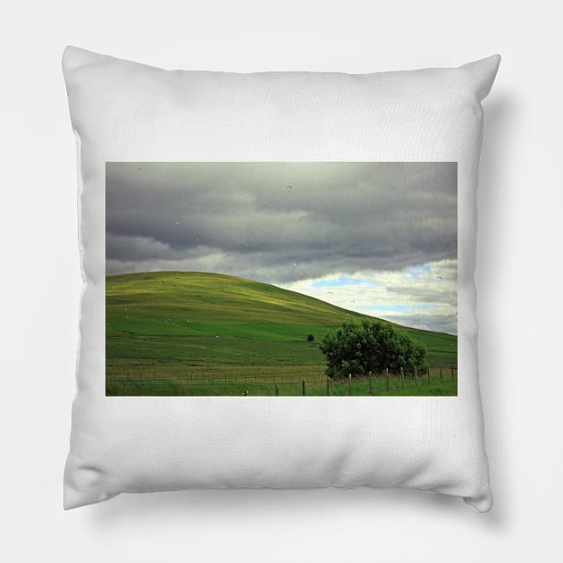 Over the hill Pillow by tomg