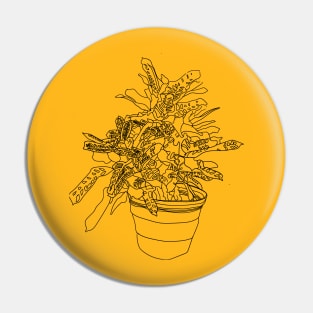 Beautiful house plant line art Pin