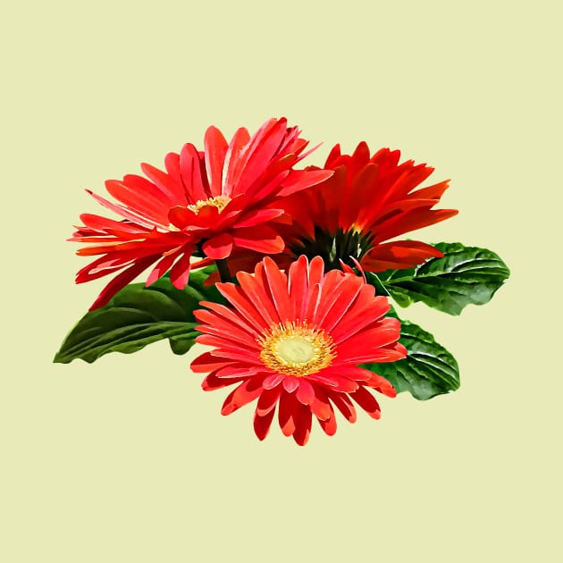 Red Gerbera Daisy Trio by SusanSavad