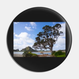 Pohutukawa tree on the foreshore. Pin