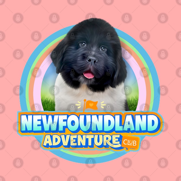 Newfoundland puppy by Puppy & cute